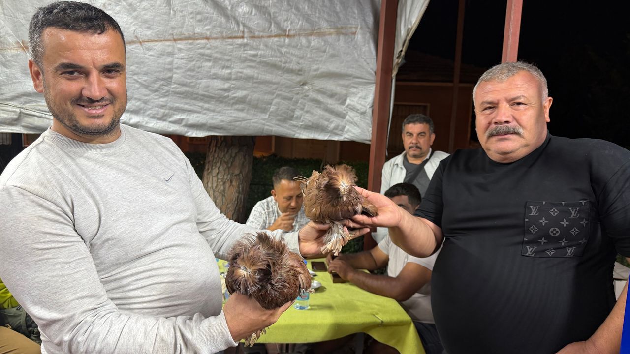 Tavuktan güvercine! Çine’de kanatlı hayvan mezatına yoğun ilgi