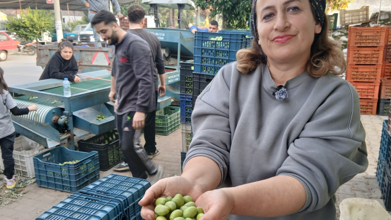 Aydınlı zeytin tüccarından zeytin fiyatlarına tepki