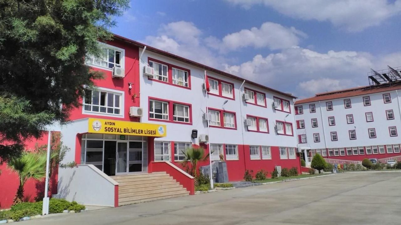 Aydın’da tabur ve okul arazilerindeki zeytinler satışta! Tonlarca mahsul dalında alıcısını bekliyor!