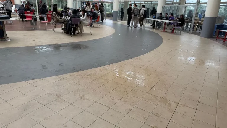 ADÜ ana derslik binasına su sızdı