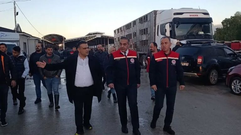 Nazilli Canlı Hayvan Pazarı’nda sıkı denetim: Kaçak ve belgesiz girişlere geçit yok