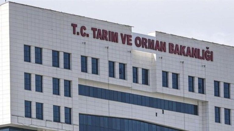 4 ilçenin kaşar peynirinde uygunsuzluk tespit edildi!