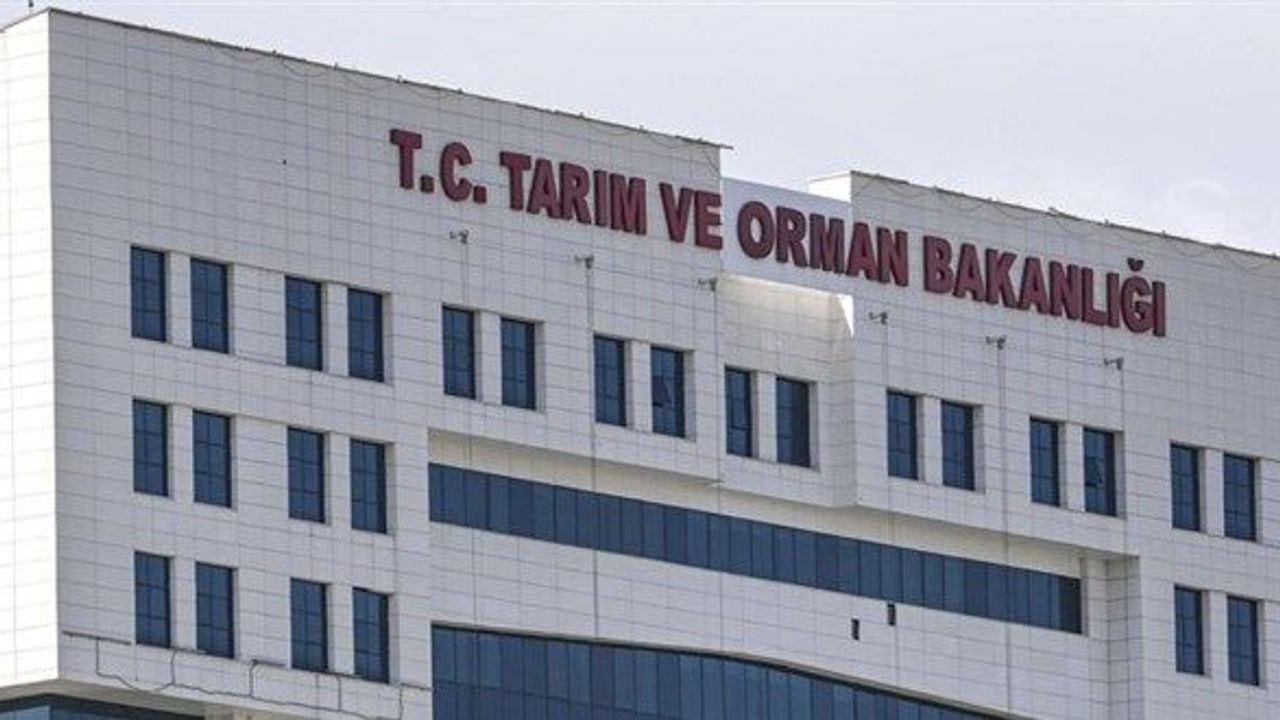 4 ilçenin kaşar peynirinde uygunsuzluk tespit edildi!
