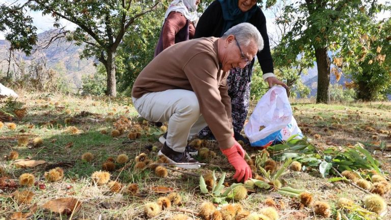Başkan Tetik kestane üreticisiyle buluştu: Sorunları dinleyip destek sözü verdi