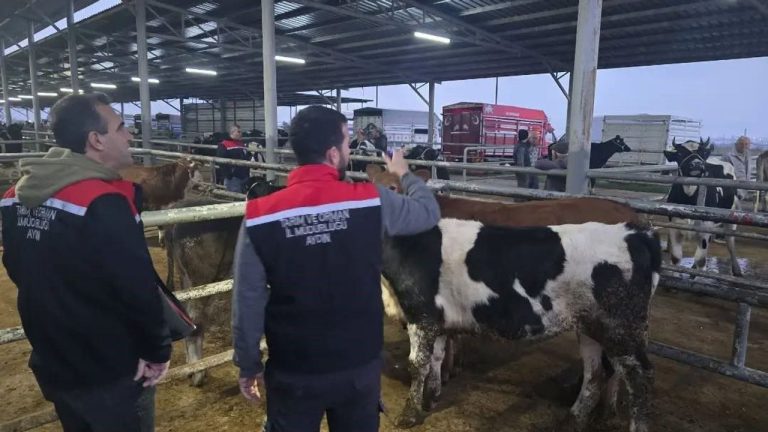 Aydın’da hayvan pazarlarında sıkı denetim