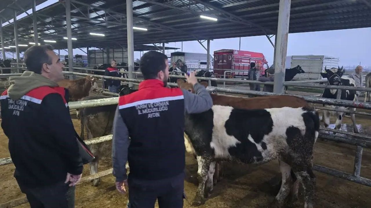 Aydın’da hayvan pazarlarında sıkı denetim
