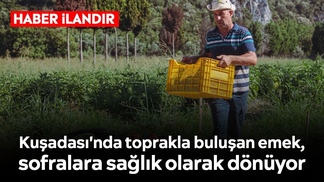 Kuşadası'nda toprakla buluşan emek, sofralara sağlık olarak dönüyor