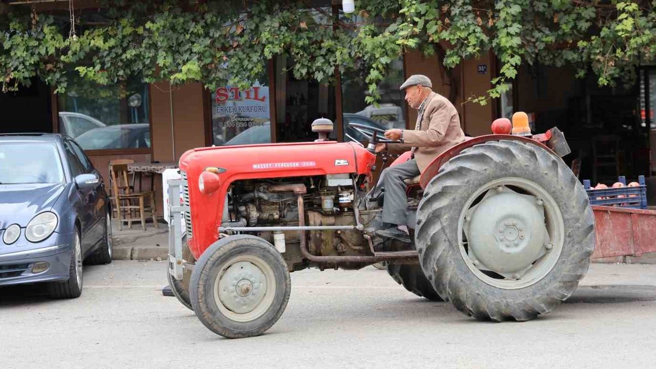 Aydın'da Ali Dede'nin 35 yıllık vefası!