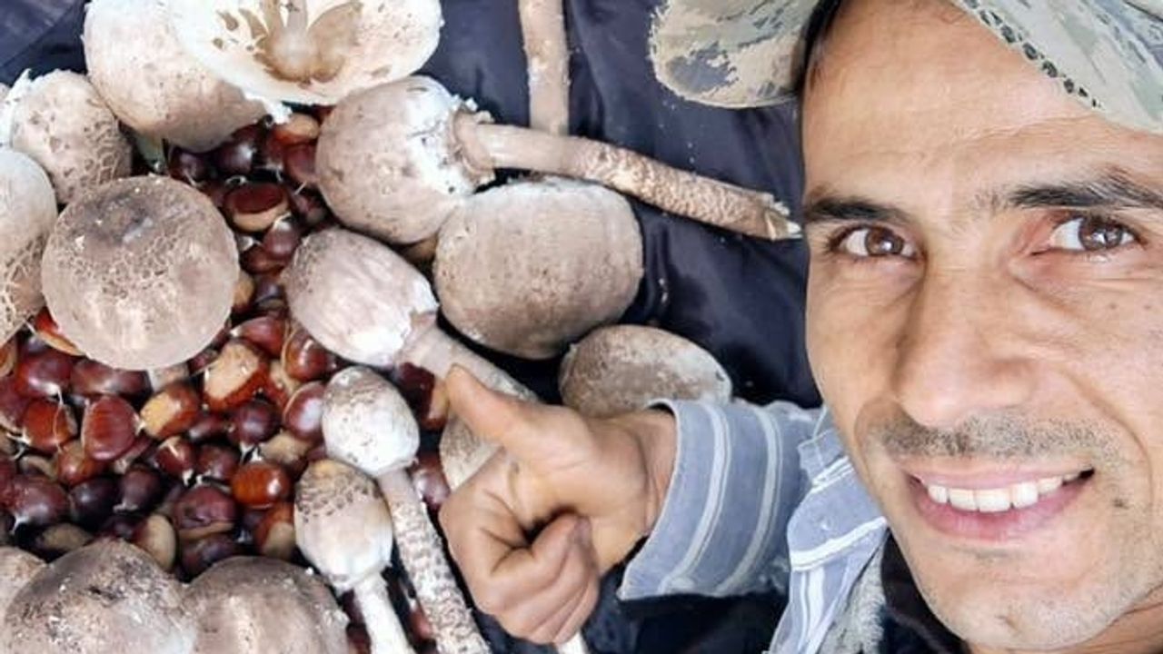 Nazilli’de mantar avcılarının yüzü güldü! Dağlardan bu sene bereket fışkırdı