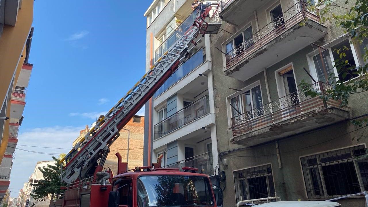 Aydın'da kedi kurtarma operasyonu