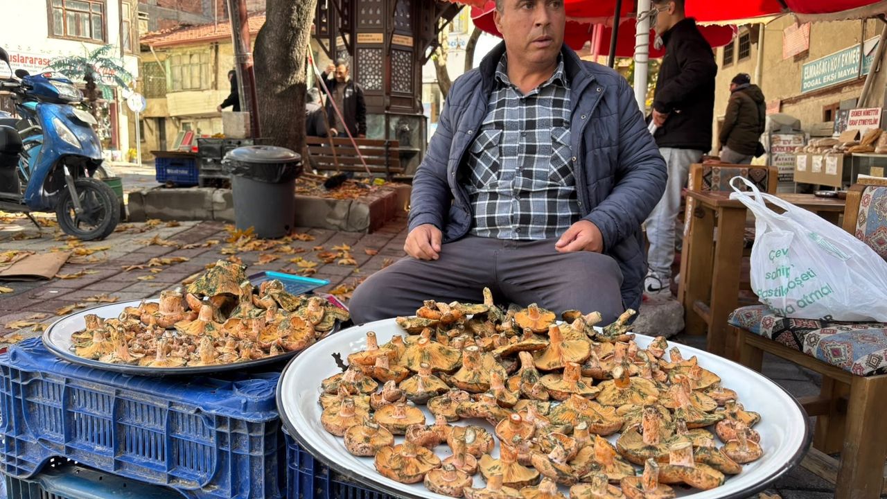 Mantar tezgaha çıktı, fiyatı belli oldu