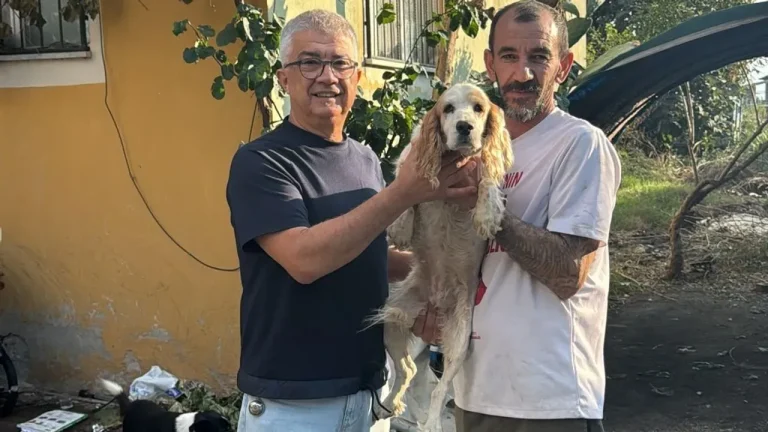 Kayıp Kuki bulundu: 10 bin lira ödül kaptı