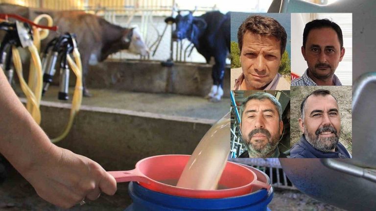 Aydın’da süt üretiminde tehlike çanları çalıyor! Süt üreticileri sahipsiz kaldı