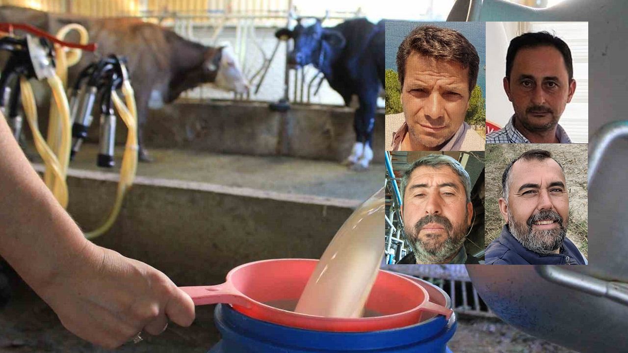 Aydın’da süt üretiminde tehlike çanları çalıyor! Süt üreticileri sahipsiz kaldı