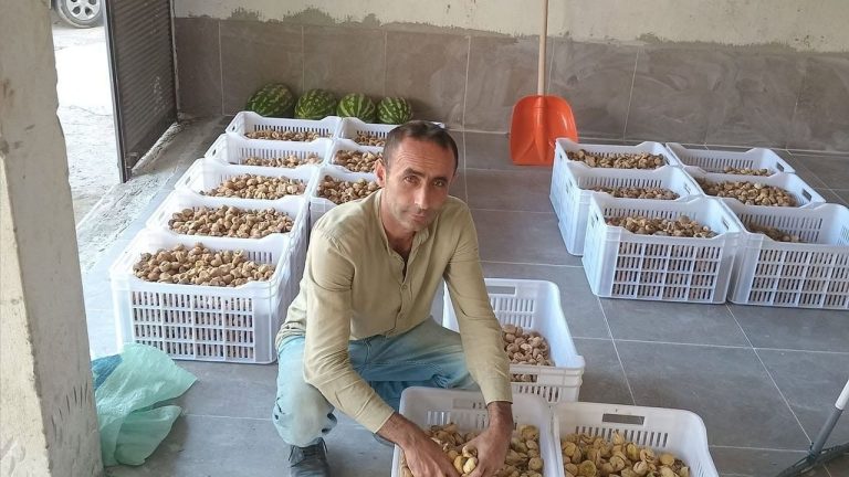Sultanhisar'da acı kayıp :İncir tüccarı hayatını kaybetti