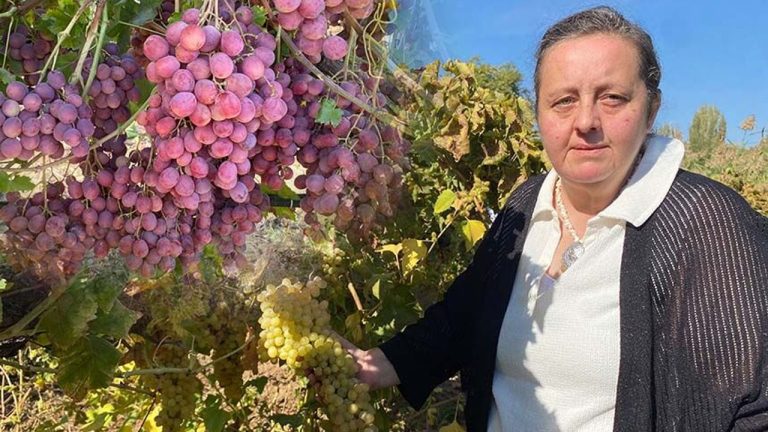 İki üzümün genetik şifresi çözüldü
