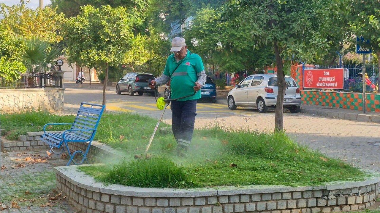 Efeler'de yeşil alan bakımları devam ediyor