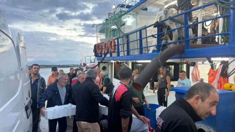 Didim'de ‘Hamsi Kotası’ denetimi