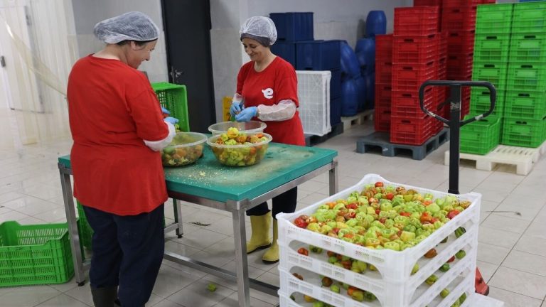 Yetişkin öncülüğünde Efeler’in lezzetleri dünya sofralarında