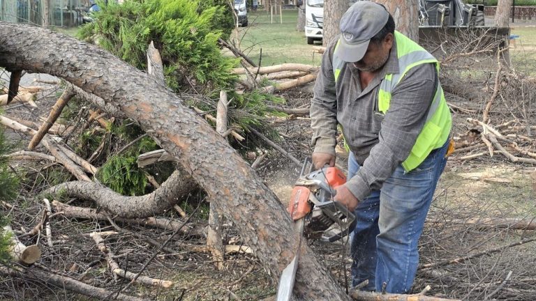 Sümerpark'a 150 yeni ağaç dikildi