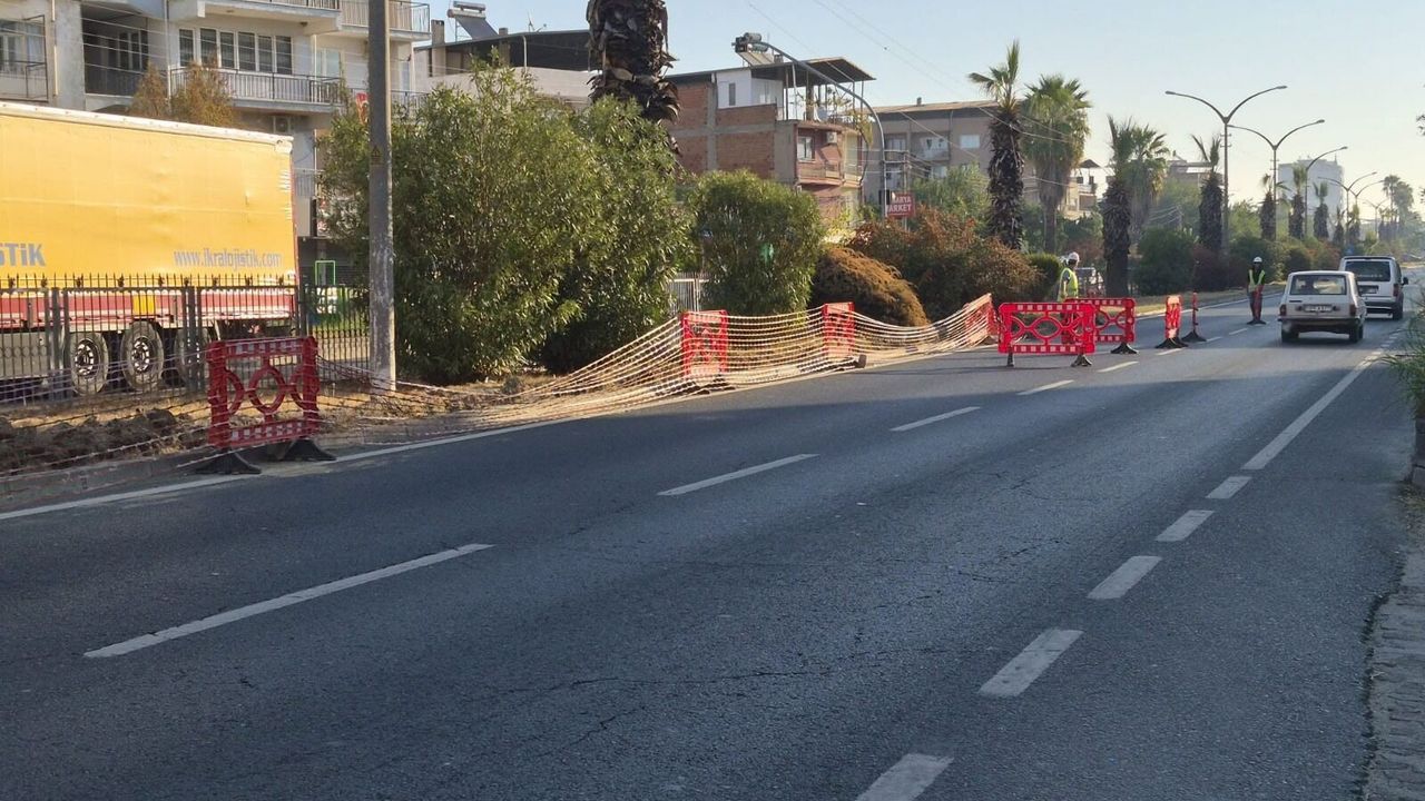 Aydın Umurlu'daki aydınlatma sorunu çözüme kavuşuyor: Ekipler sahaya indi