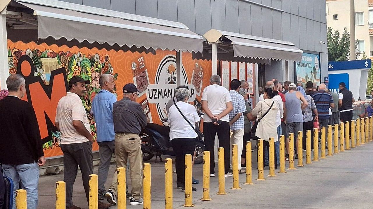 Didim’de ucuz Palamut izdihamı