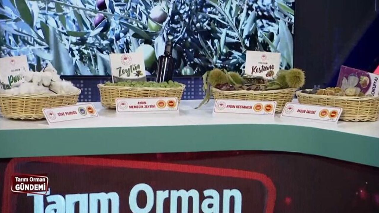 Aydın'ın tarımsal ihracatı 350 milyon dolara ulaştı