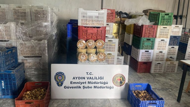 Aydın’da gıda denetiminde milyonluk bilanço! Tonlarca ürüne el konuldu