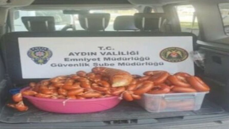 Aydın'da 2 milyonluk mevzuata aykırı gıda yakalandı