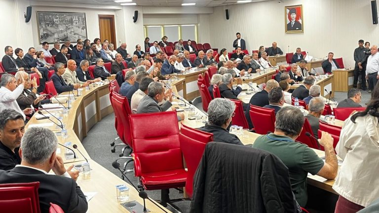 Aydın Büyükşehir Meclisi’nden iki ilçeye destek!