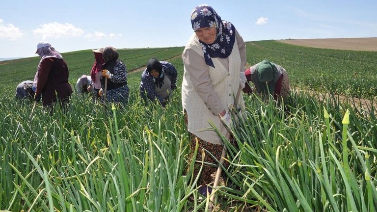 Efeler Ziraat Odası’ndan çağrı