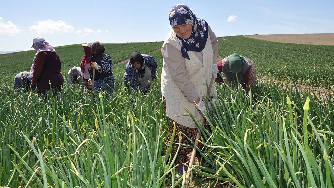 Efeler Ziraat Odası’ndan çağrı
