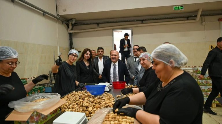 Vali Varol Aydın incirini gündeminden düşürmüyor! Sultanhisar ziyaretinde de inciri merkeze aldı