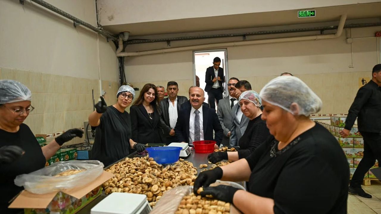 Vali Varol Aydın incirini gündeminden düşürmüyor! Sultanhisar ziyaretinde de inciri merkeze aldı