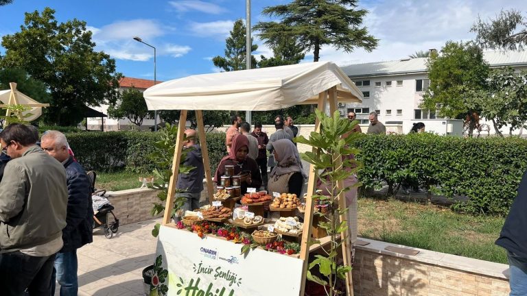 Aydın’da incire onarıcı tarım: İlaçsız üretim başladı