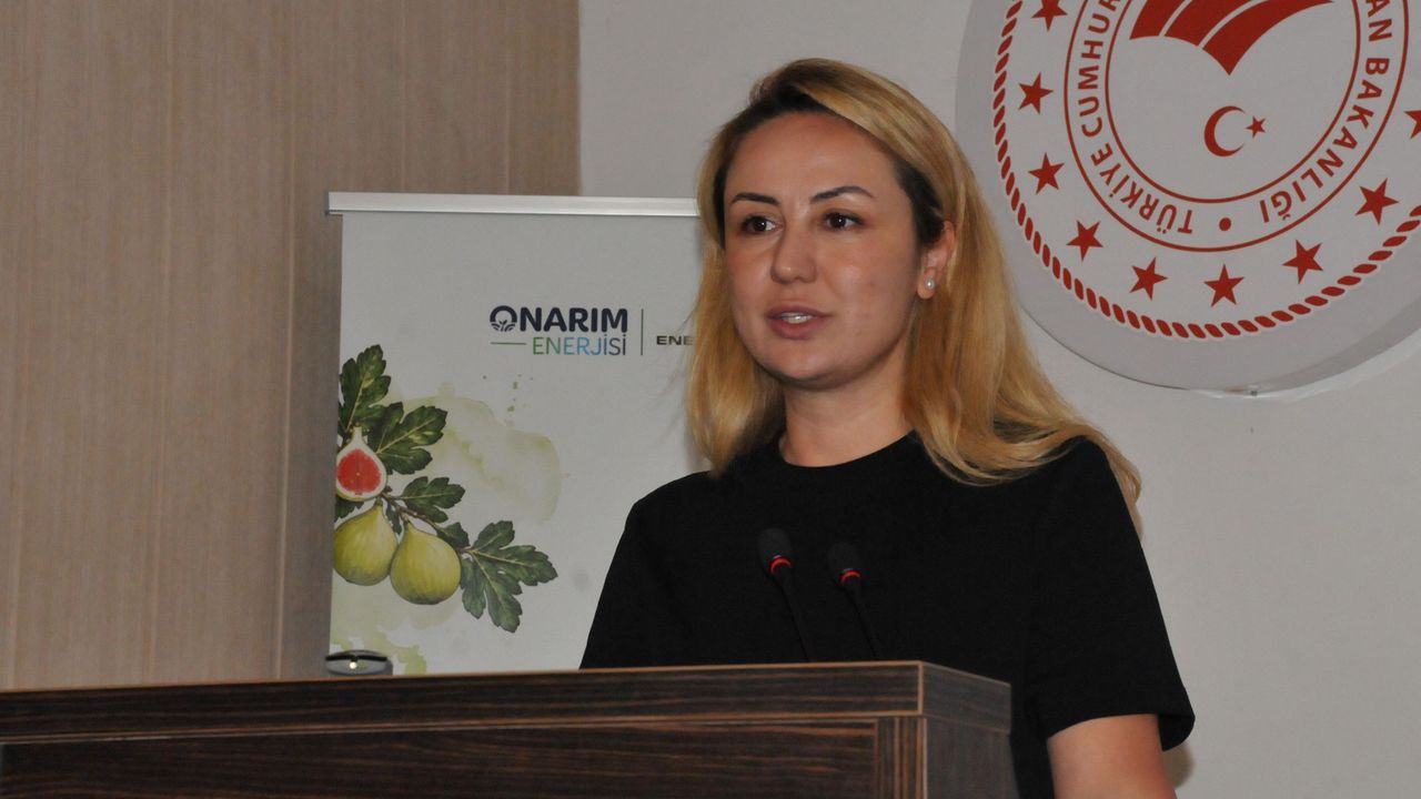 Enerjisa Üretim'den Aydın incirine doping