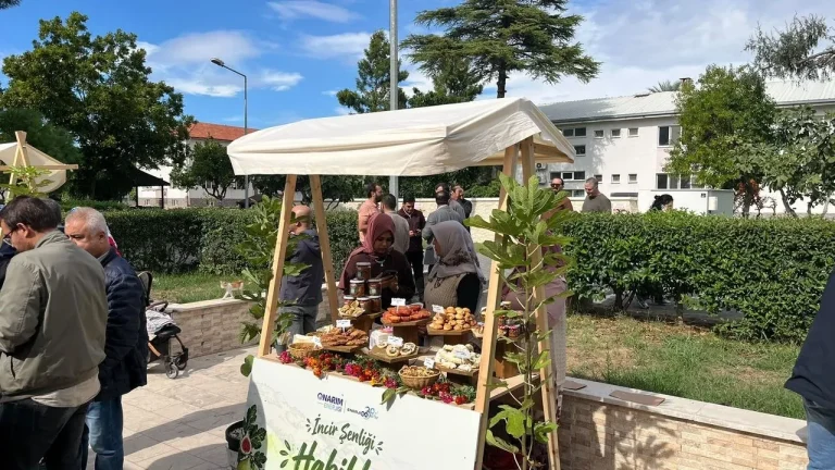 Aydın incirine 'Onarım Enerjisi' dokunuşu