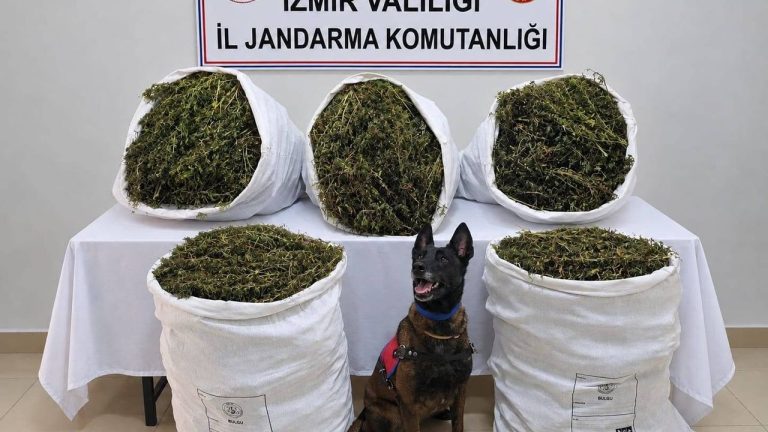 54 kilo 800 gram esrar ele geçirildi, 3 kişi tutuklandı