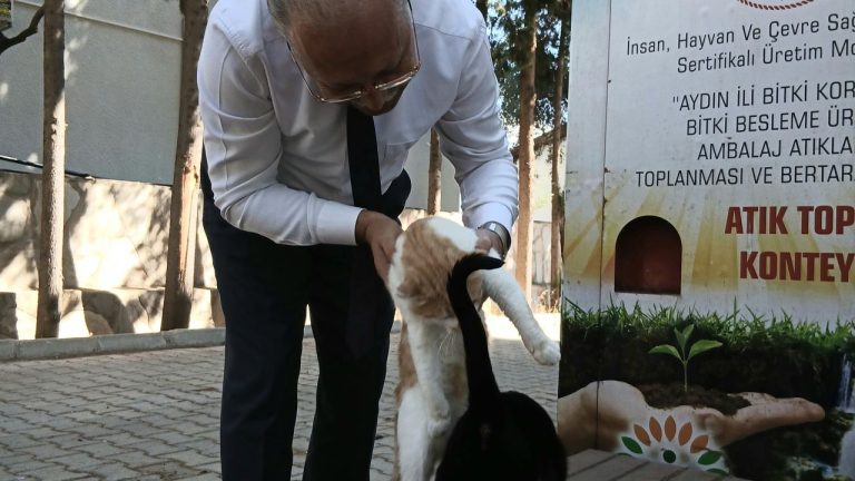 Karacasu'da sokak canlarına Müdür şefkati