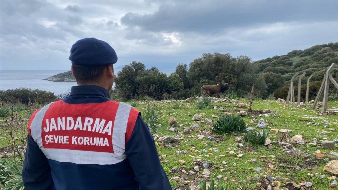 Jandarmanın konumunu paylaşan 8 şüpheli yakalandı
