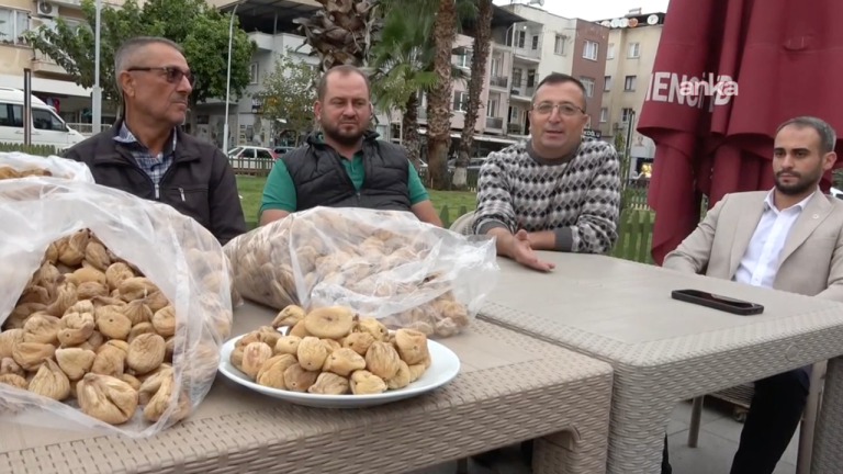 Germencik'te incir üreticileri isyan etti!