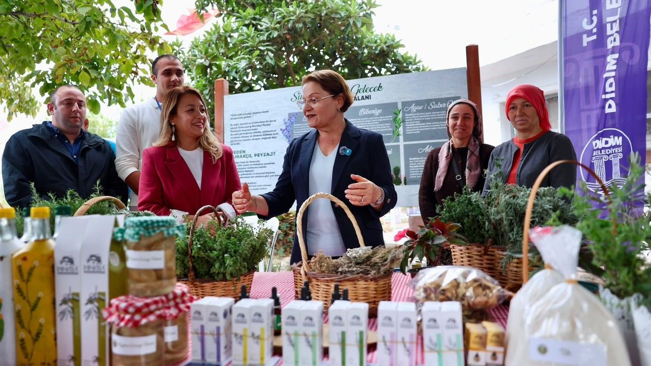 Didim'de tarım şenliği coşkusu sürüyor