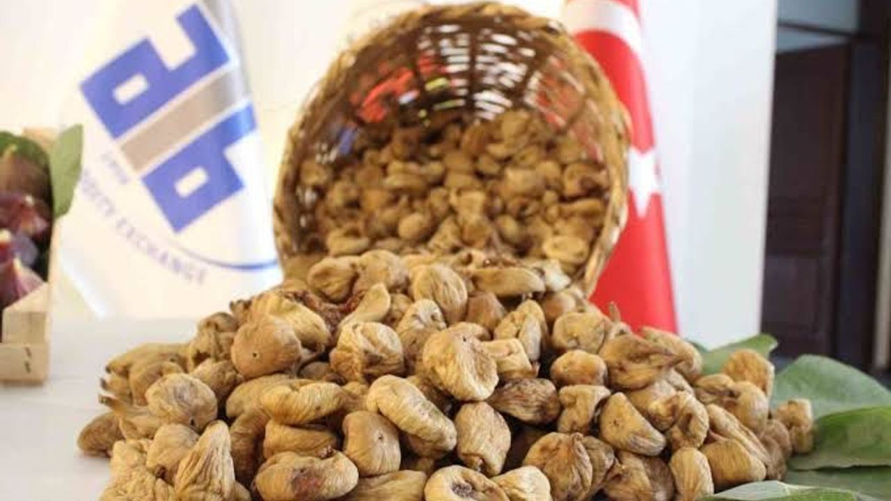 GEKA’nın gündeminde Aydın inciri var: Depolama ve soğuk hava kapasitesi gündemde