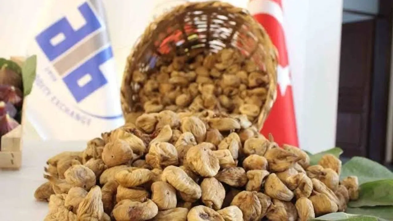 Aydın incirinin geleceği masaya yatırıldı