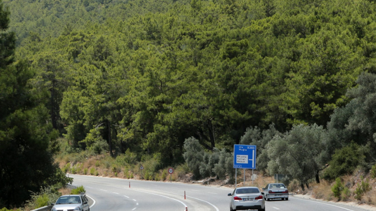 Sürücüler dikkat! Mavi tabeladaki bu sembolün anlamı şaşırttı