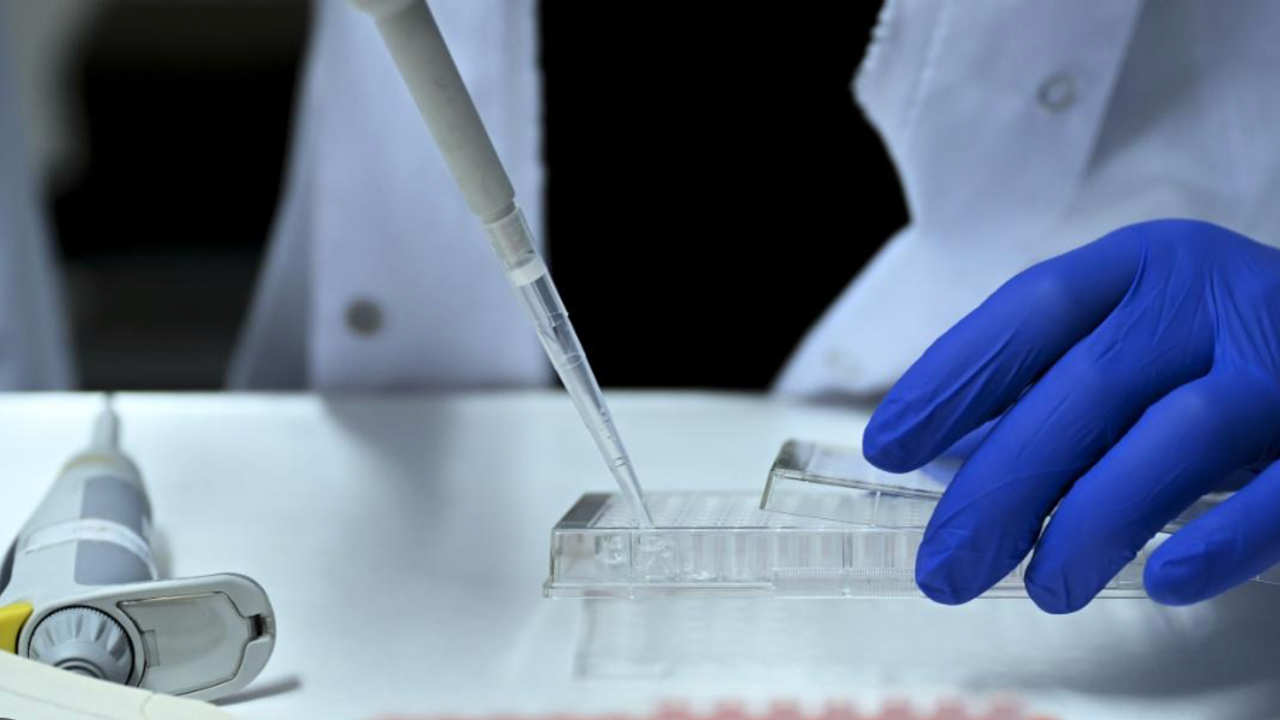 Yasa dışı üreme hücresi ticaretinde 36 kişi gözaltına alındı!