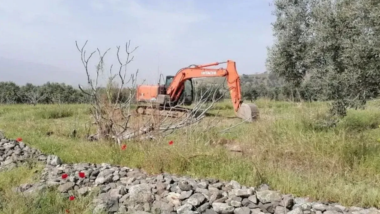 Mahkeme iptal etmişti… Zeytinliklere JES onayı!