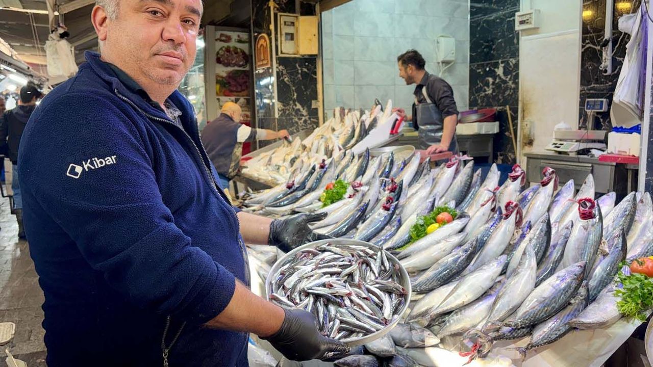 Palamutun fiyatı belli oldu
