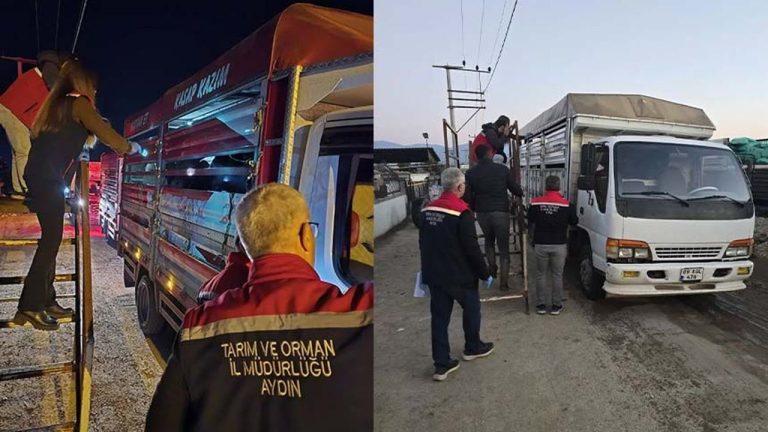 Aydın’da ekipler hayvan pazarında