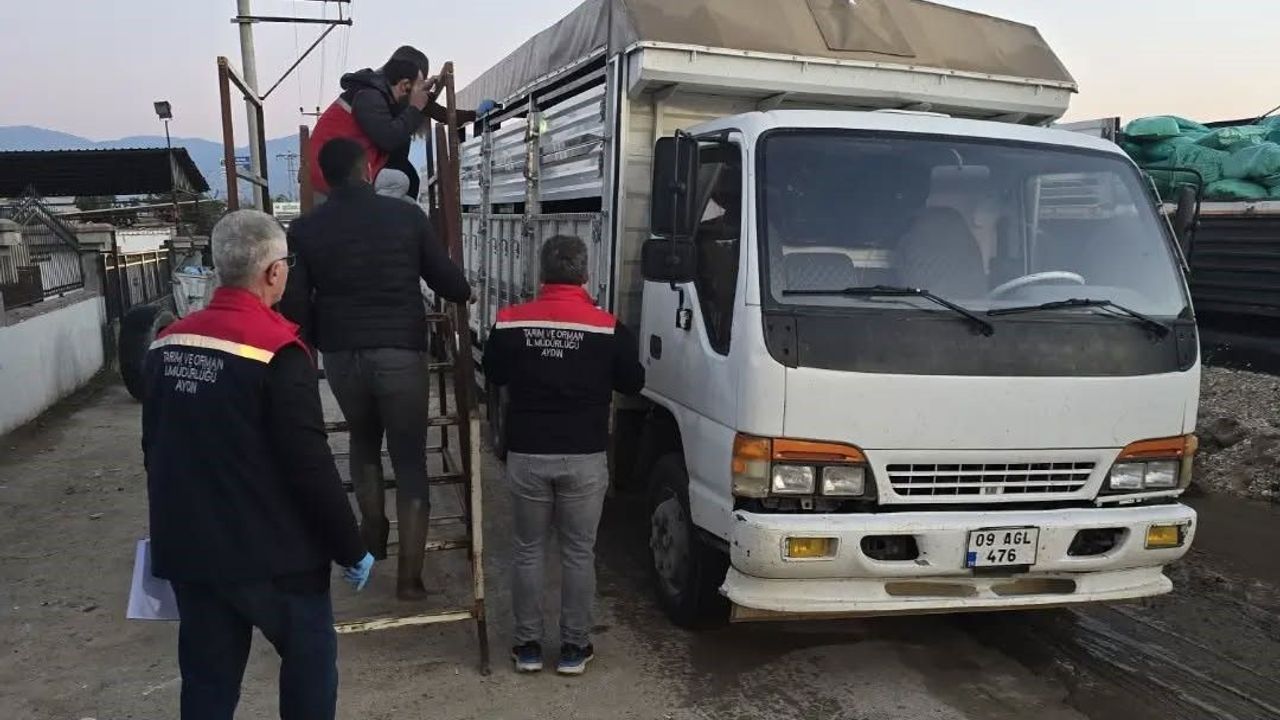 Aydın’da hayvan pazarlarında denetimler sürüyor: Hastalıklara karşı tedbirler üst seviyede